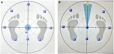 Kinesiophobia, limits of stability, and functional balance assessment in geriatric patients with chronic low back pain and osteoporosis: a comprehensive study